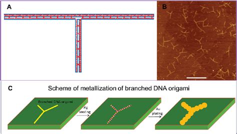 metallization of self-assembled dna templates for electronic circuit fabrication|dna origami metalization reaction.